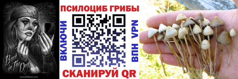Купить где  Магнитогорск  Псилоцибиновые грибы Magic Shrooms
